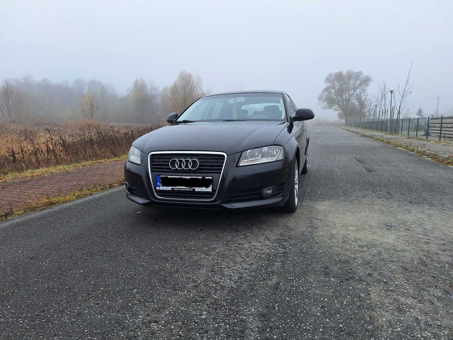 Audi a3 8p 2.0 tdi