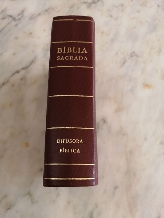 biblia sagrada em bom estado