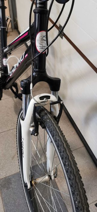 Rower LAZARO INTEGRAL V na alivio