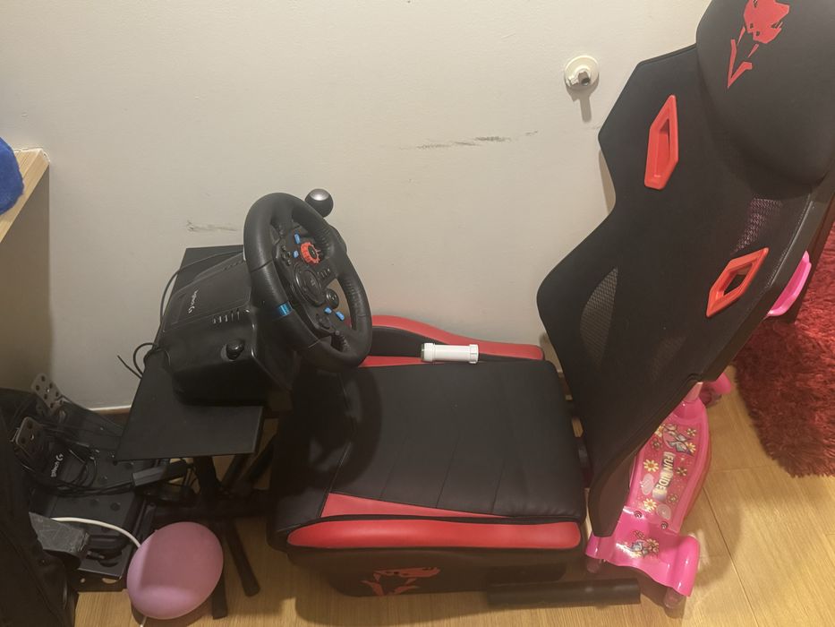 Playseat  e volante