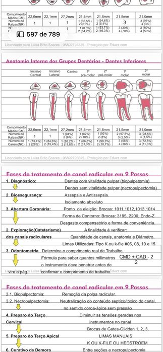 Fichas de estudo Medicina Dentaria  – material completo em PDF