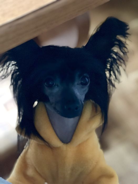 Мальчик КХС. Голый.