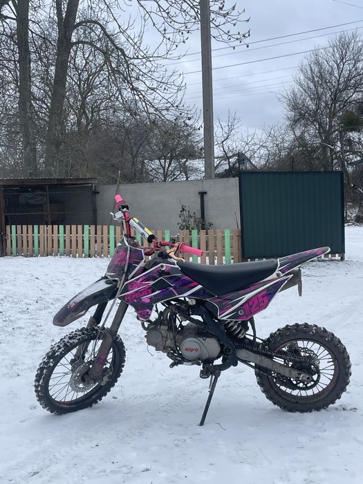 Kayo tt 125 2024 years