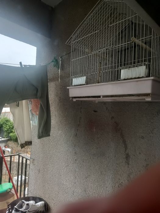 Vendo gaiola usando mas como nova
