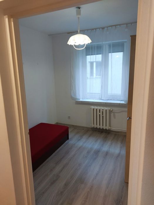 Wynajmę mieszkanie - Więcej