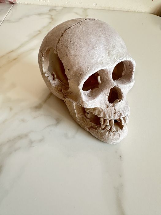 Череп декор в акваріу