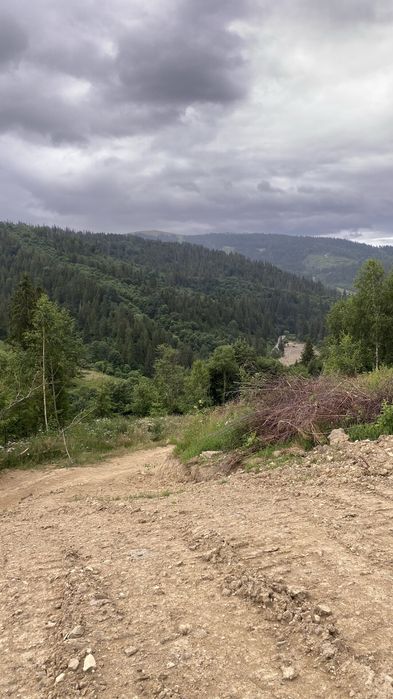Продам земельну ділянку в Карпатах