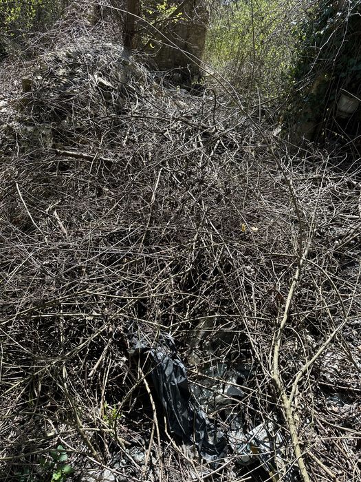 Oddam za darmo drewno i deski na opal