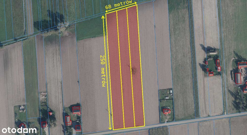 Trzy działki budowlane z wygodnym dojazdem - Zembry/Trzebieszów - Widok 3