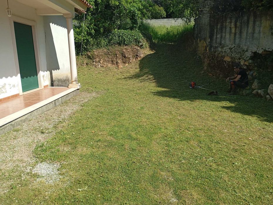 Limpeza de terrenos agrícolas