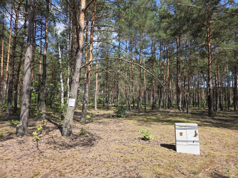 Działka Krzemień/ Biała Góra - Więcej
