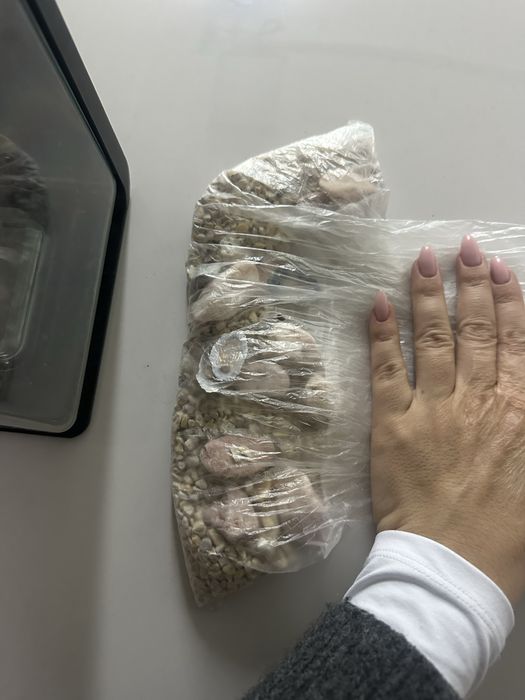 pequeno aquário com um dispositivo e pedras