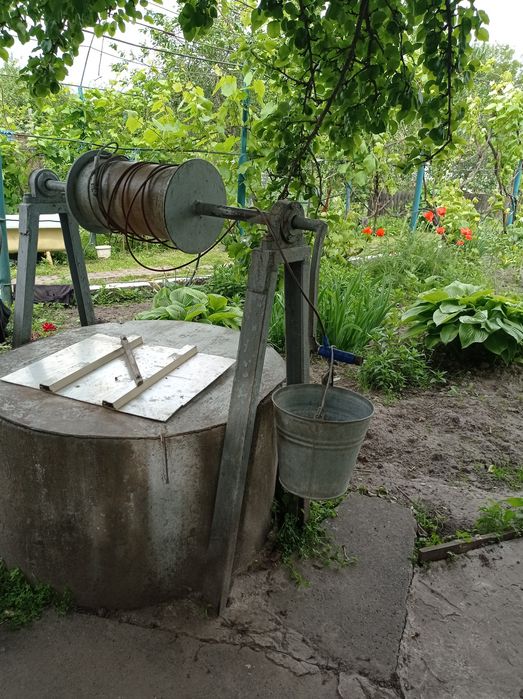 Доглянута садиба в передмісті Чернігова. Село Деснянка.