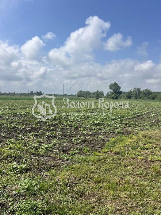 Ділянка під забудову, 25 соток, село Перемога, Баришівський район