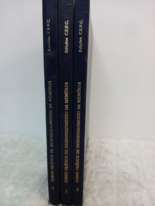 livros Curso pratico desenvolvimento memoria