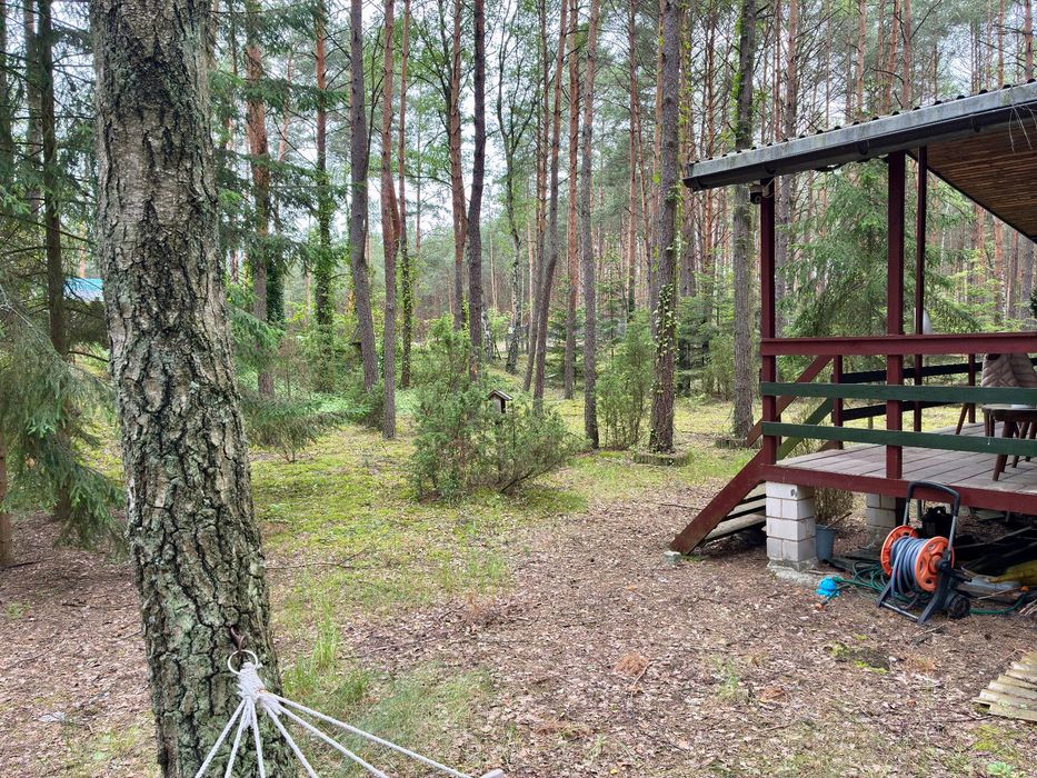 Działka budowlana, Las, Cisza, Spokój, 30min od Warszawy - Widok 5