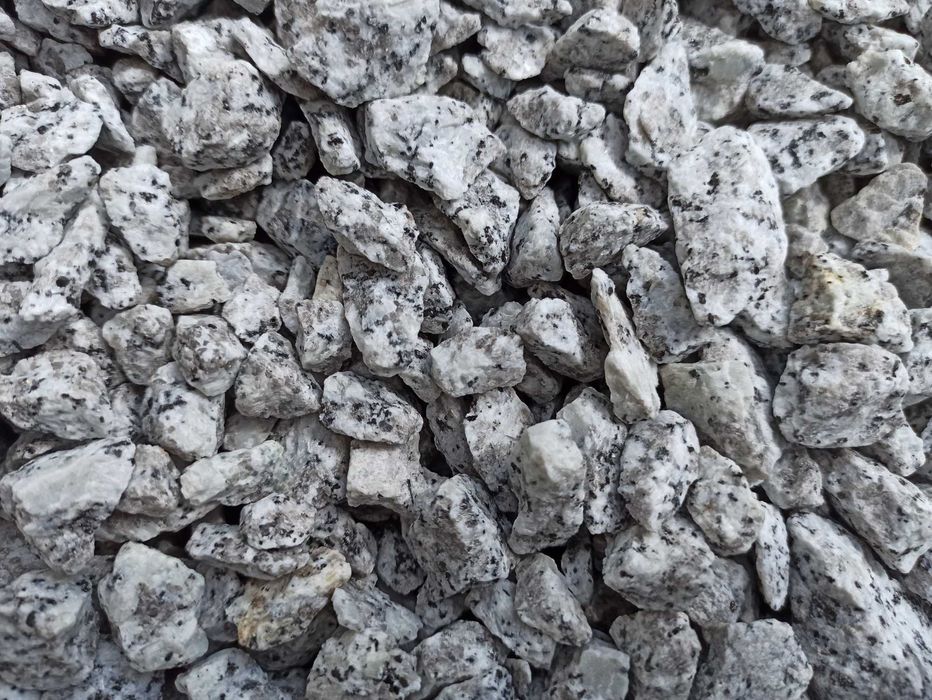 Grys Granitowy Dalmatyńczyk Kamień szary biała marianna bazalt kora