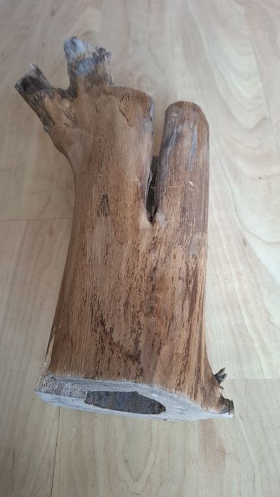 Wyposażenie terrarium, konar, drapak