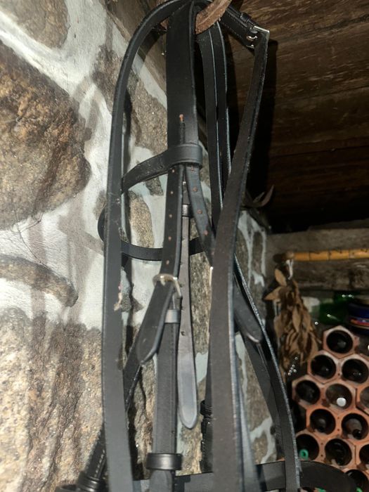 Arreios para cavalos