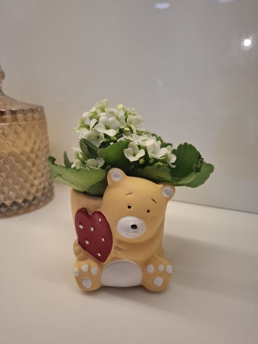 Osłonka na doniczkę z misiem i sercem