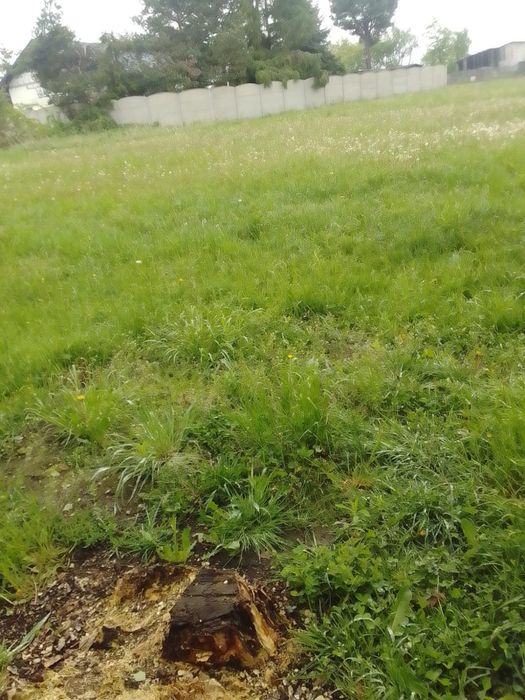 Działka budowlana Poręba 1185 m² - wszystkie media, asfalt, gotowa pod budowę! - Widok 4
