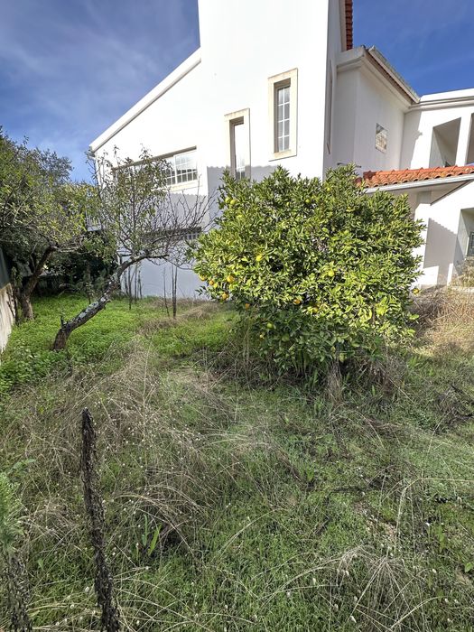 Serviço de Jardinagem, Desmatação e Limpeza de Terrenos