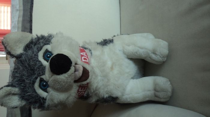 Cão de Peluche "Serra da Estrela"
