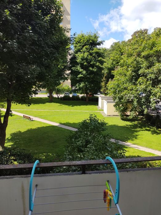 Mieszkanie Sopot brodwino 40.50 dookoła las.