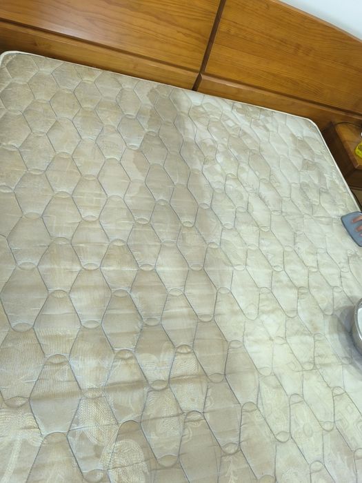 Polimentos e limpeza estofos