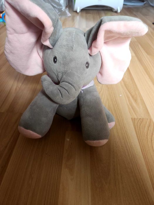 Slonik grajacy i rusza uszami