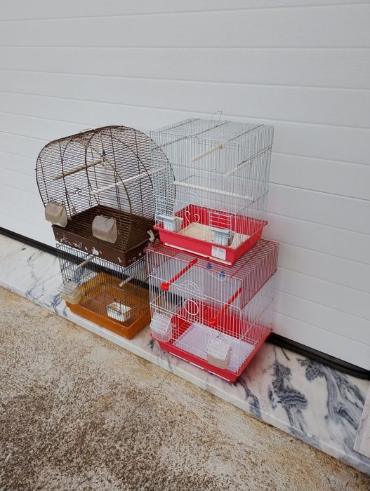 Gaiolas para pássaros a partir de 10€