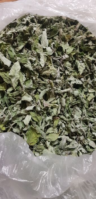 Сушеная мята крупный лист