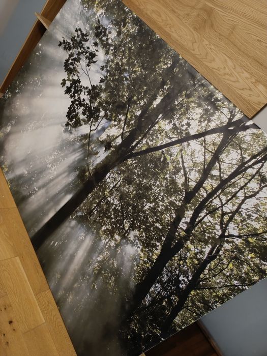 Obraz na ścianę Ikea