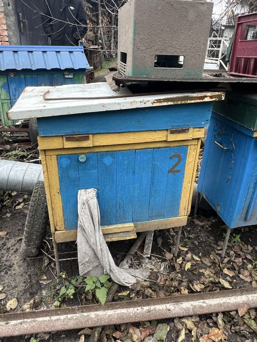 вулики без бджіл