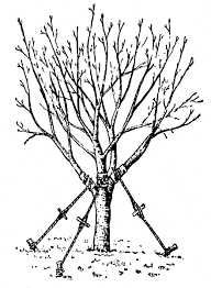 Анкер якір садовий. Шнековий анкер Заземляючий анкер