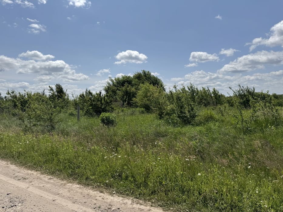 Продаж ділянки під житлове будівництво с.Ставчани