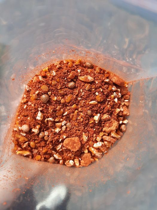Zanęta sypka Karp Truskawka 1 kg