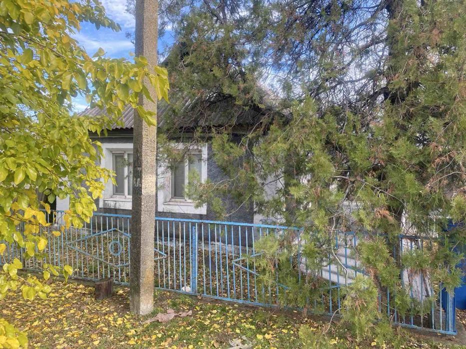 Будинок в Арбузинкі