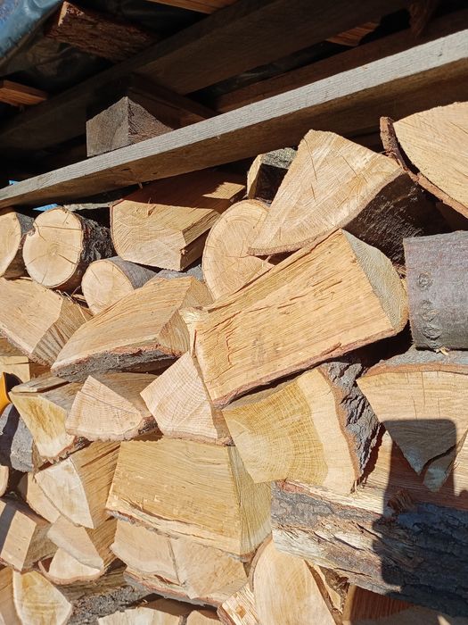 Drewno opałowe, Dąb, Buk, Sosna