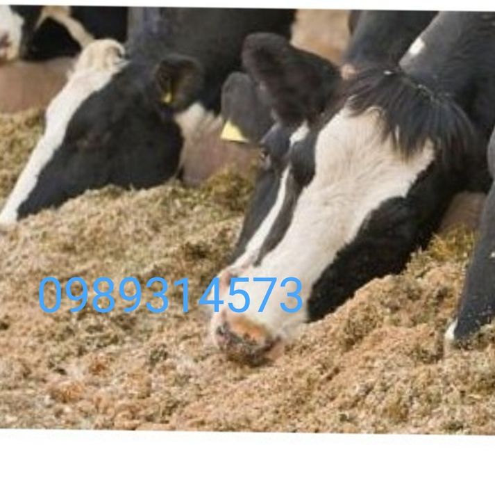 Жом з доставкою !