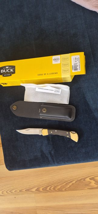 Buck 110 folding hunter