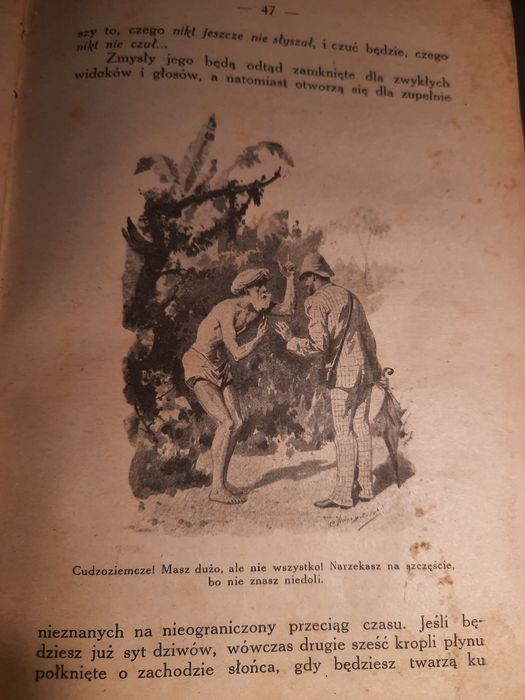 Erazm Majewski Doktor Muchołapski