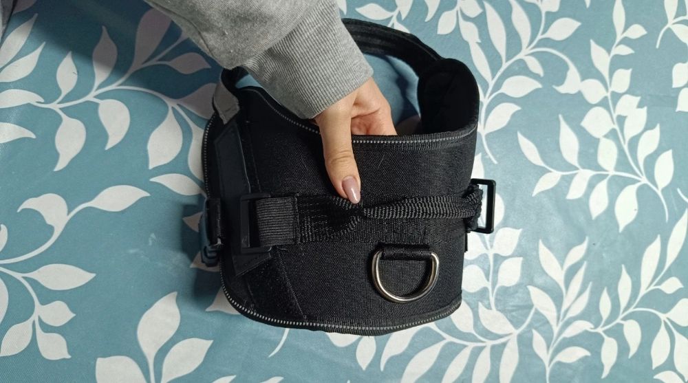 Peitoral de cão completamente novo