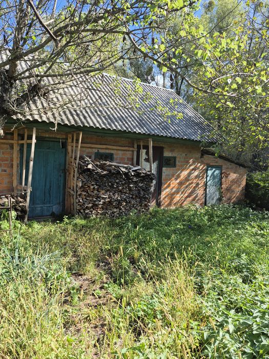 Великий будинок на березі Десни