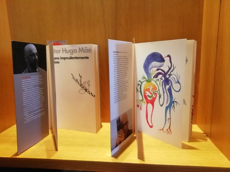 Valter Hugo Mãe - A desumanização; Homens imprudentemente poéticos