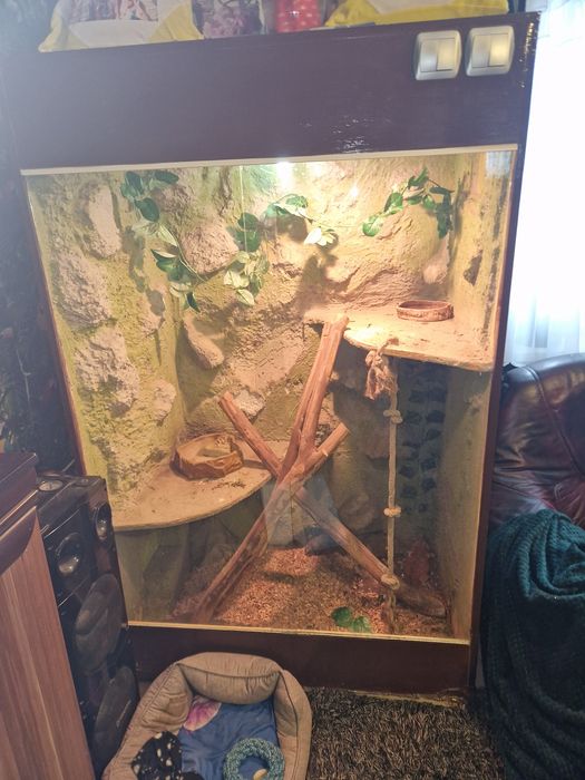 Terarium duże z wyposażeniem