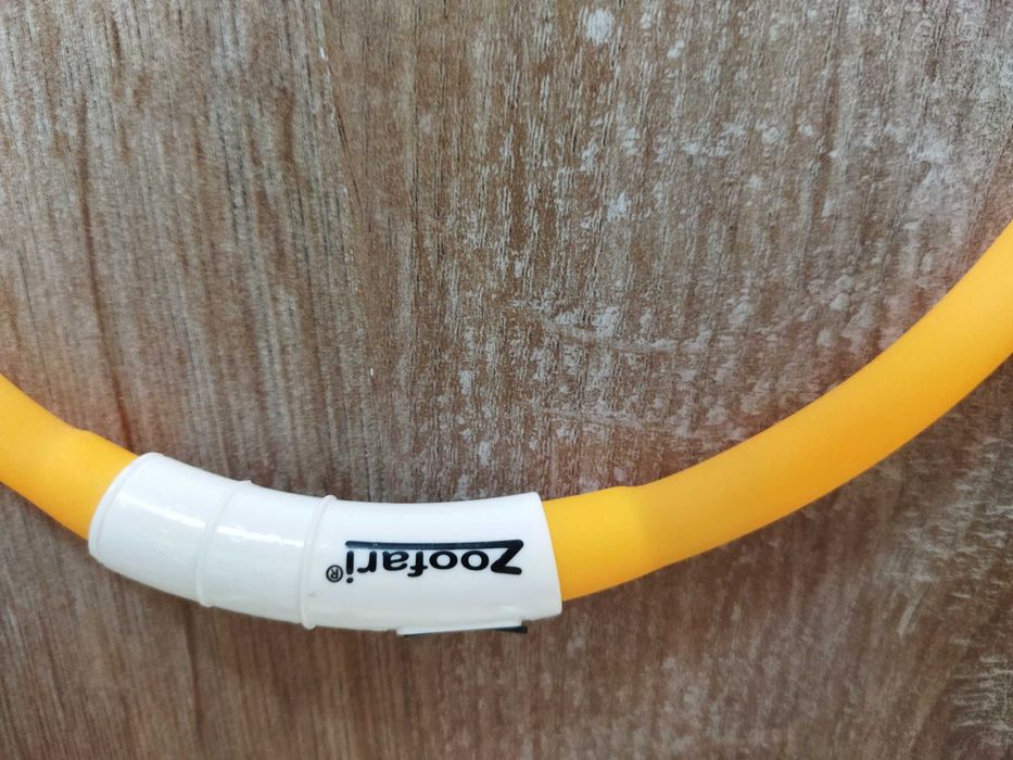 Coleira luminosa para cão