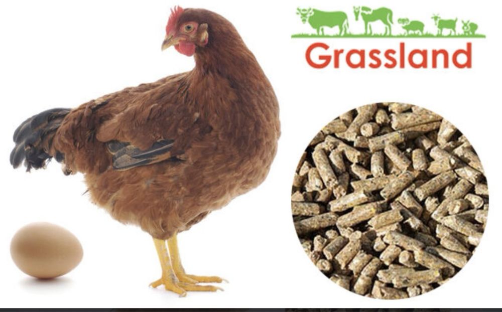 Комбікорм Grassland для курей несучок/Редбро "Період яйцекладки"