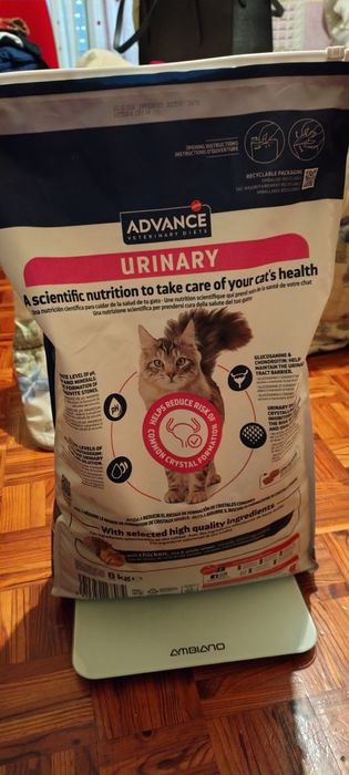 Ração para Felinos.