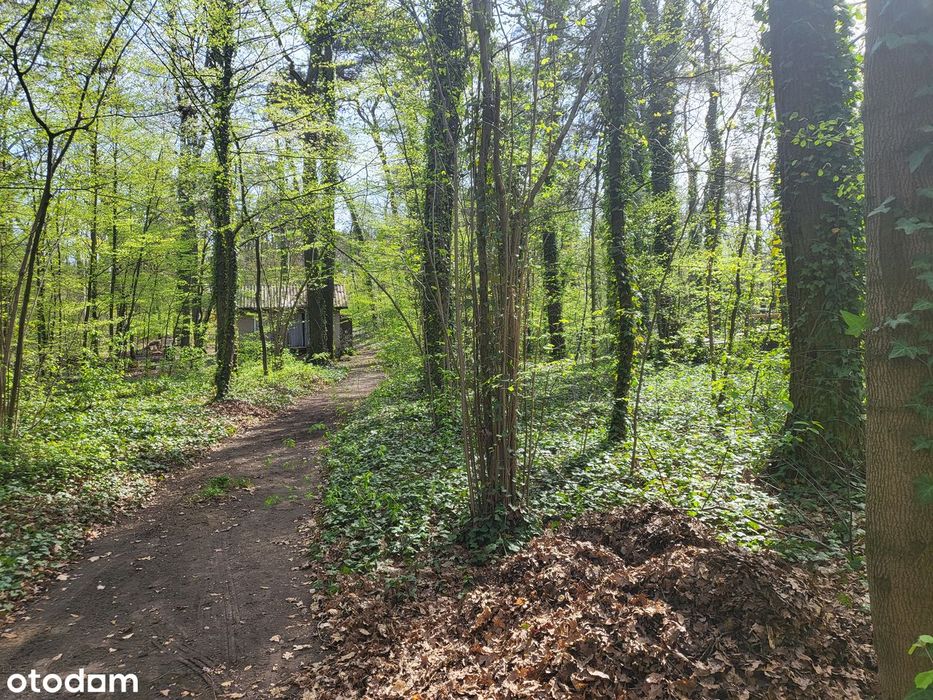 Działka Budowlana Podkowa Leśna 2594m2